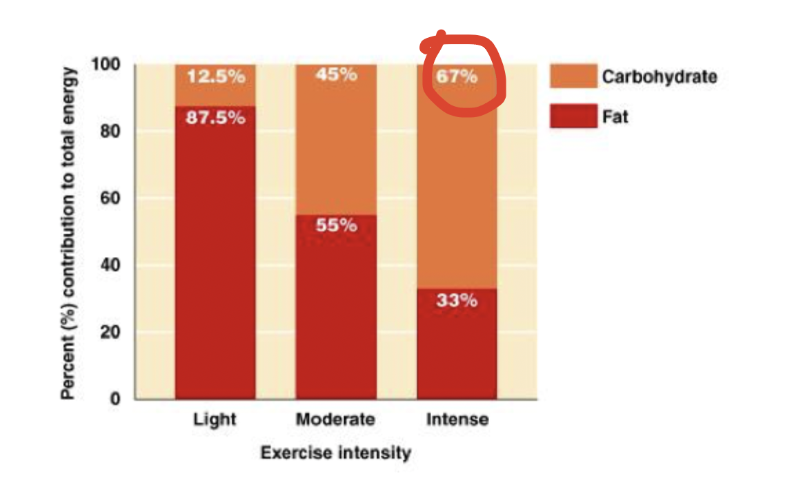 lighter intensity workouts use more fat