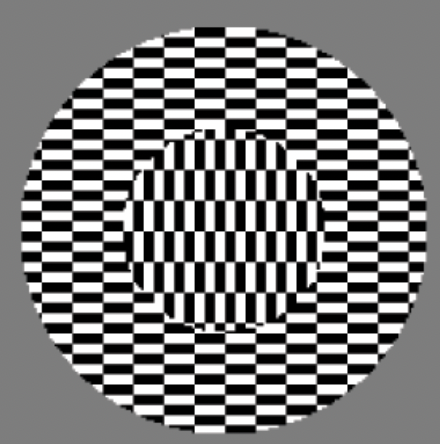 <p>creates a false sense of <strong>motion or depth</strong>, making the center disc appear to <strong>float or move</strong> over a checkered background.</p><p><strong>Why does this happen?</strong></p><ul><li><p>When you <strong>move your eyes</strong>, different motion signals occur in the <strong>center vs. the background</strong>.</p></li><li><p>Horizontal and vertical patterns interact, confusing the brain’s <strong>motion detection system</strong>.</p></li><li><p><strong>Common fate principle</strong>: The brain treats the center and background as <strong>separate objects</strong>, making the center seem like it moves.</p></li></ul><p></p>