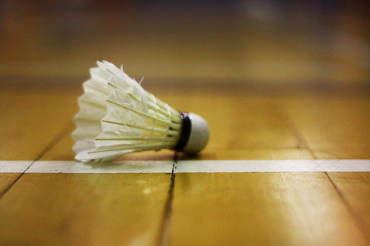 <p>badminton</p>