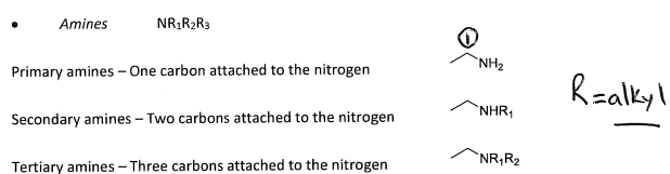 <p><span style="background-color: inherit;"><span>Nitrogen forms three other bonds than to carbon. Amines when these bond to Hydrogen or to more carbons in the chain</span></span></p><p><span style="background-color: inherit;"><span>Can form a nitro group by bonding to two oxygen molecules</span></span></p>