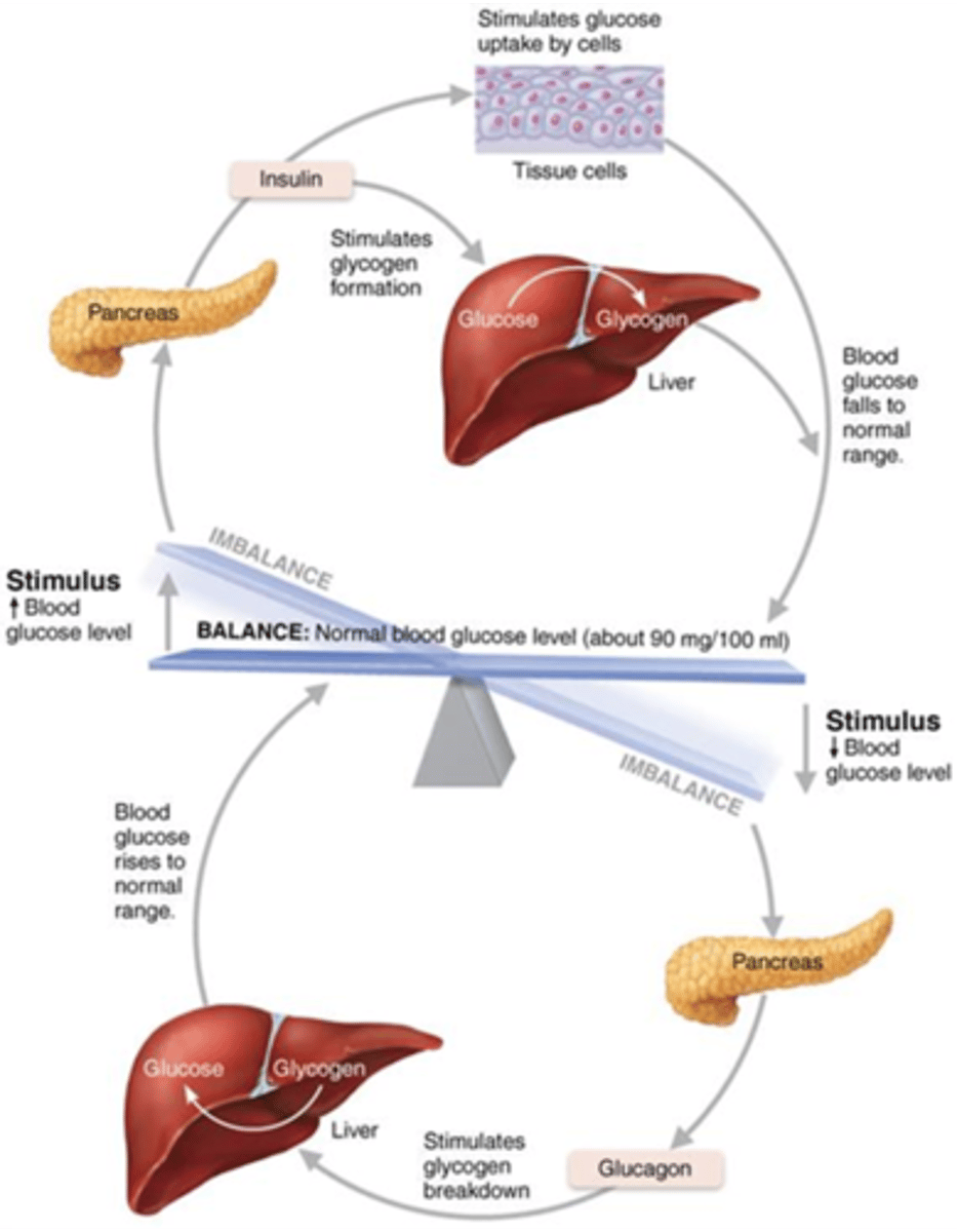 <p>Good fasting glucose level</p>