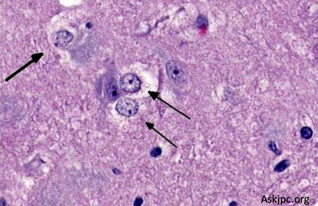 <p>What is this an example of?</p>