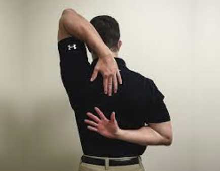 <p><span>Which shoulder range of motion is shown here?</span></p><p></p>