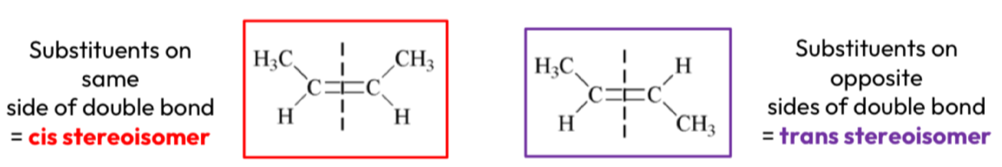 <ul><li><p>Cis stereoisomers = substituents on the same side of the double bond</p></li><li><p>Trans stereoisomers = substituents on opposite sides of the double bond</p></li></ul><img src="blob:null/562240a9-8372-471f-8c57-0514df243300"><p></p>