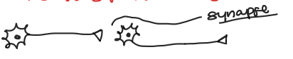 <p>Post Synaptic Potential</p>
