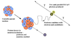 <p>A particle and a corresponding antiparticle meet and their mass is converted into radiation energy as two photons. Two photons are produced in this process to conserve momentum.</p>