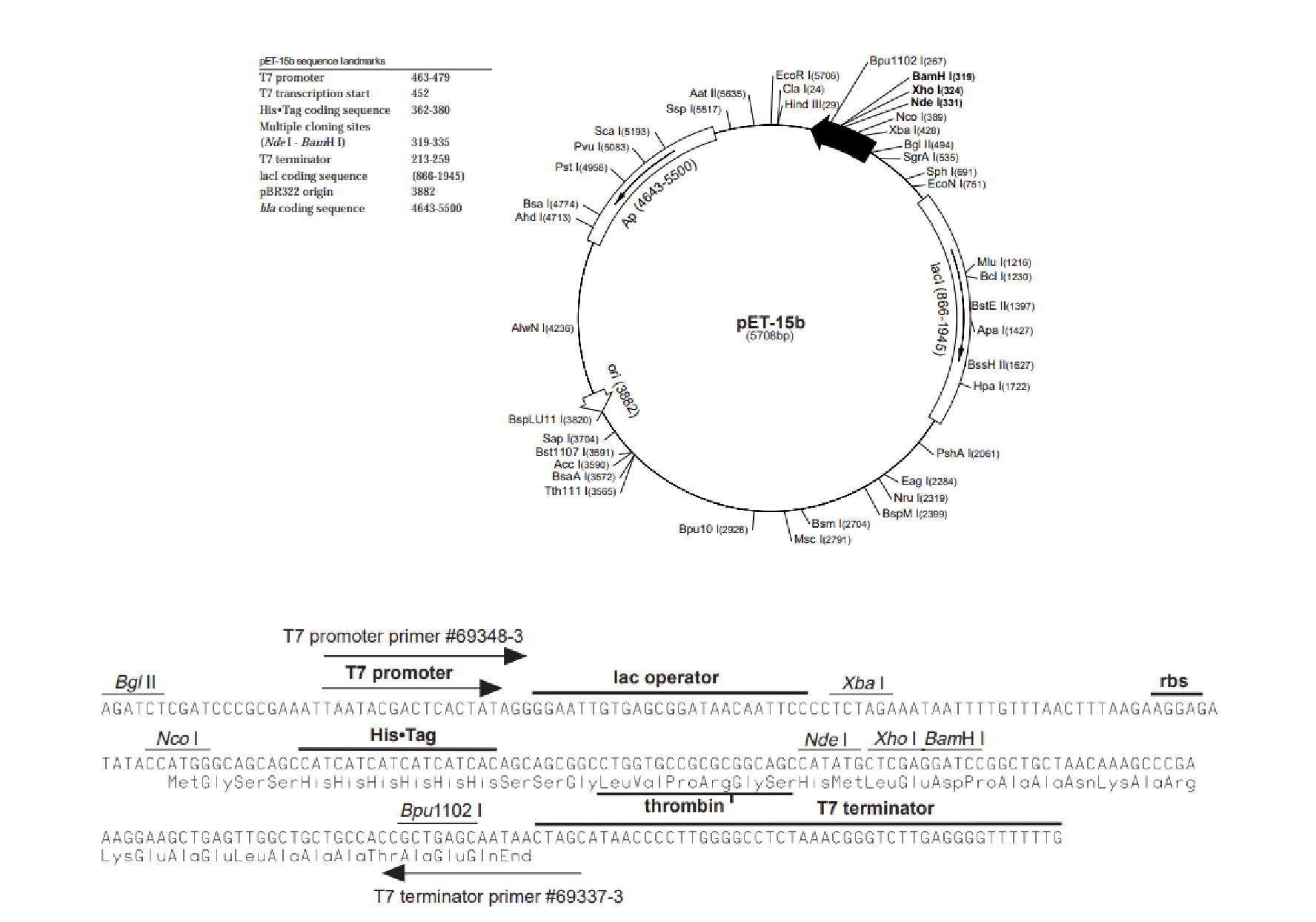 <p>This cleaving site allows for the removal of the hexahistidine tag from the final protein.</p><p></p><p>This tag is encoded by the vector just before the thrombin site where you see His*tag in bold. </p>