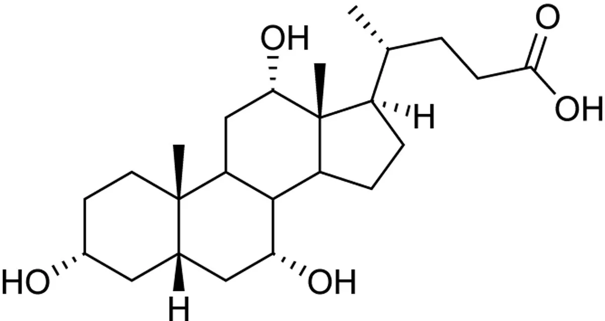 <p>-OH</p><p>-antipathic</p>