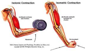 <p><span>Muscle tension equals or is great than resistance </span></p><p><span>Muscle shortens</span></p>
