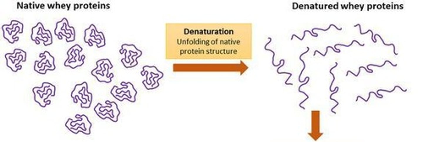 <p>A reversible or irreversible change of conformation caused by destabilized intermolecular bonding due to factors like temperature, pH, salts, solvents, and shear.</p>