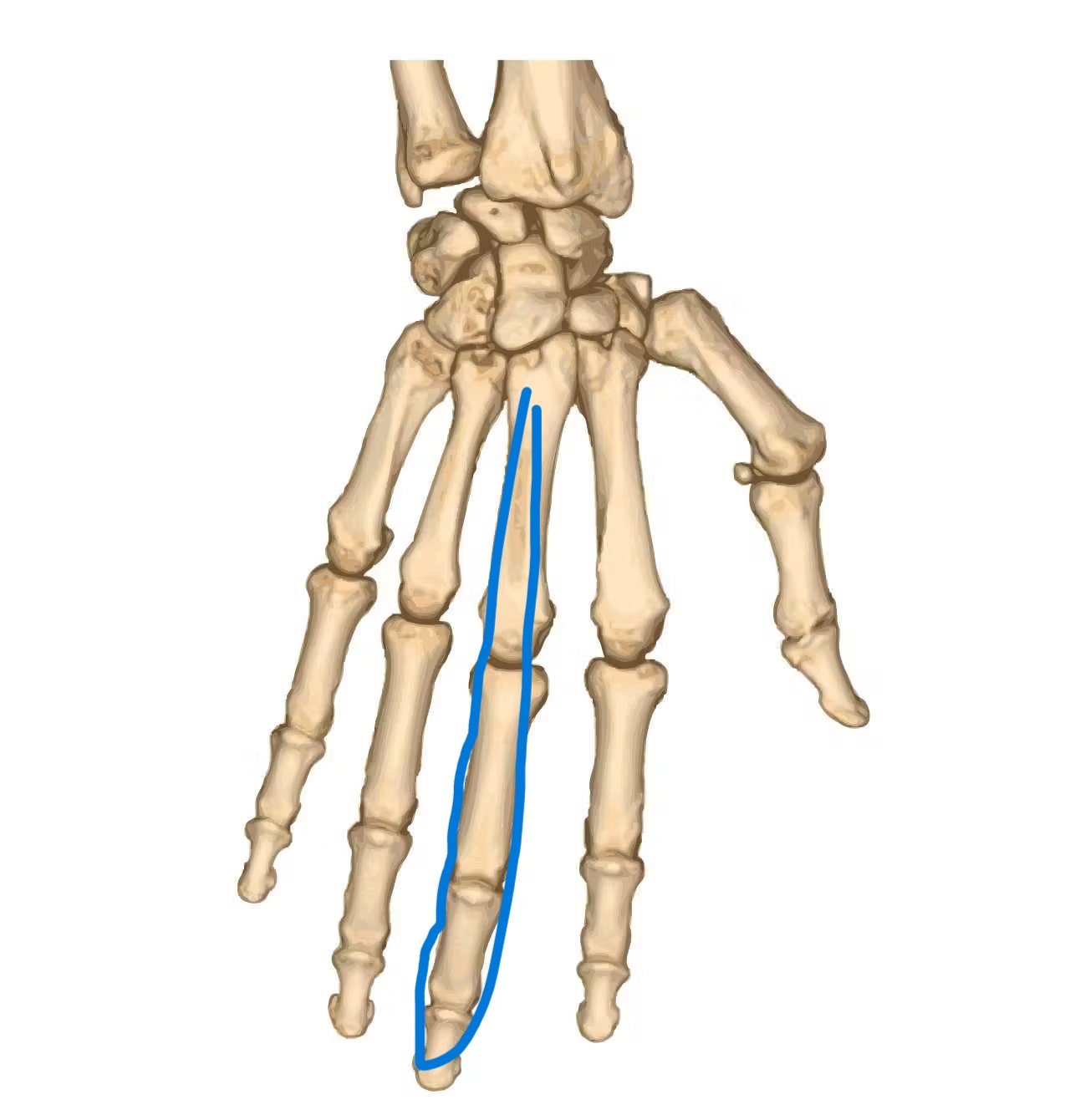 knowt flashcard image