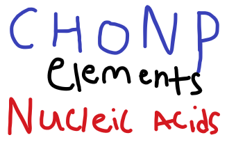 <p>Carbon, Hydrogen, Oxygen, Nitrogen, and phosphorus </p><p><strong><em>(CHONP!!!)</em></strong></p>