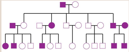 <p>Graph of family history for specific trait or health problem over several generations</p>