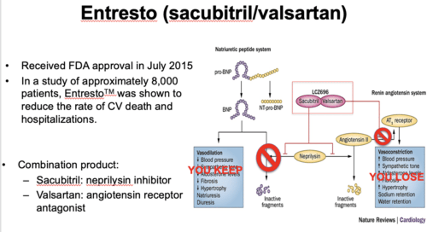 <p>Sacubitril</p>