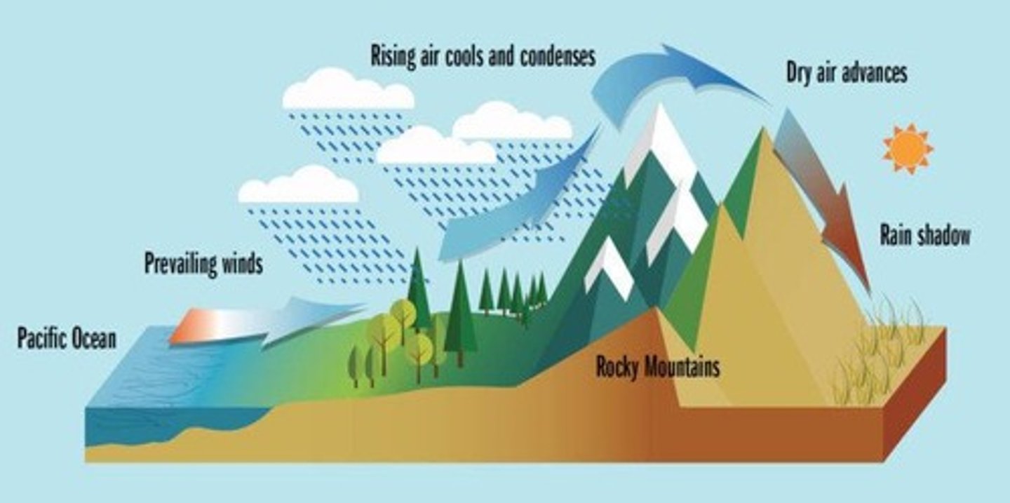 <p>A phenomenon where prevailing winds and topography affect precipitation, leading to dry areas on the leeward side of mountains.</p>
