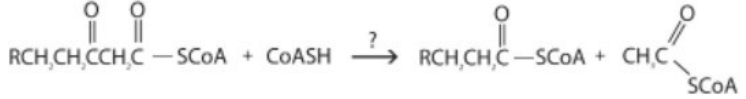 <p>What type of reaction is shown here?</p><p>A. Oxidation-reduction</p><p>B. Hydration</p><p>C. Cleavage</p>