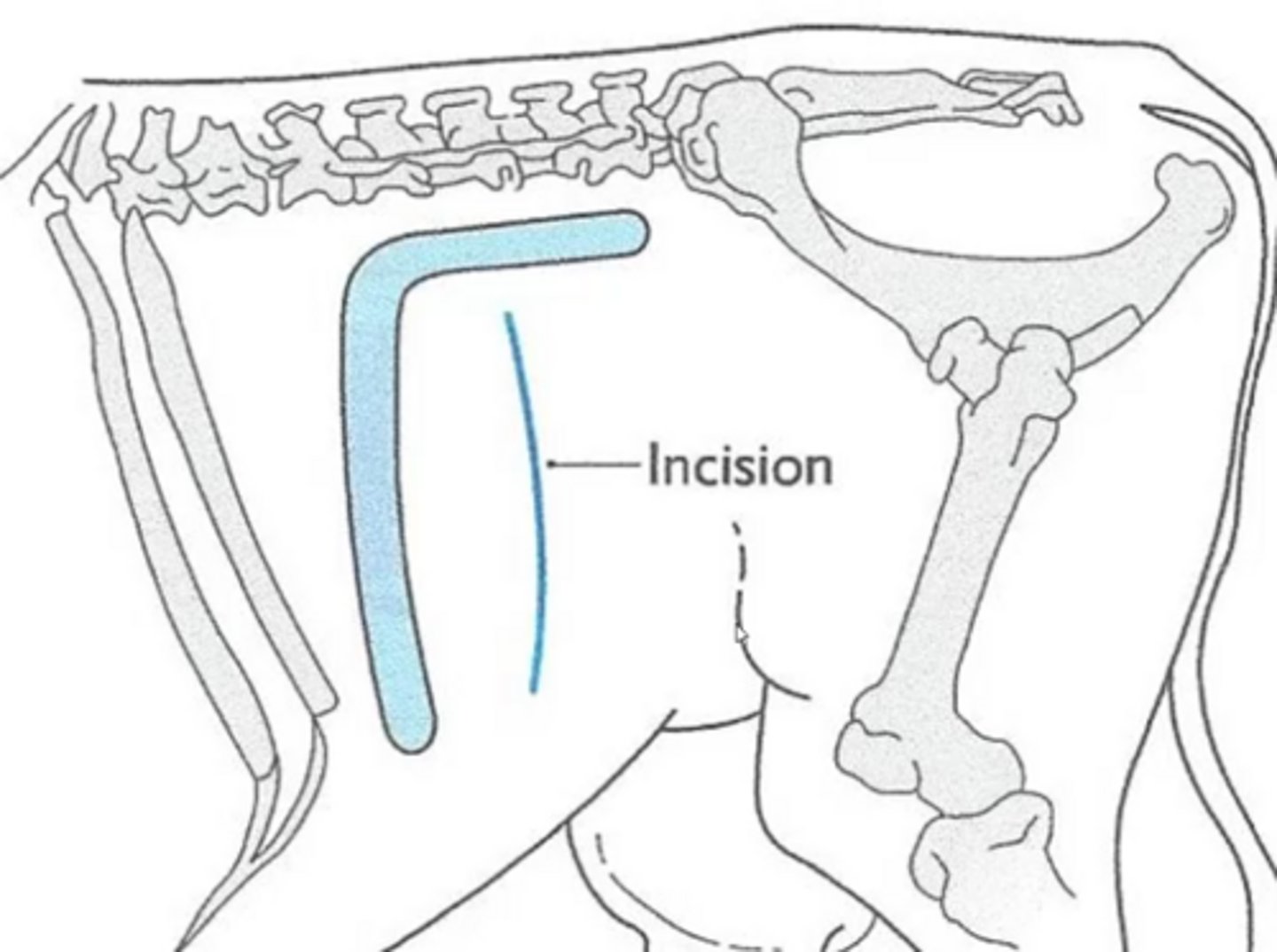 <p>Variable relaxation</p><p>Reduced area</p><p>High volume required (toxic)</p>