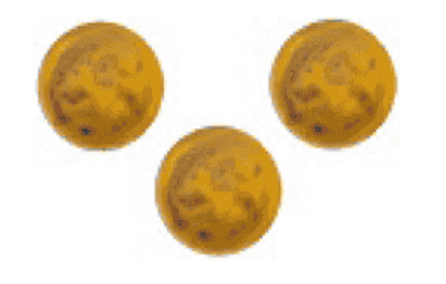 <p>Lysosome</p>