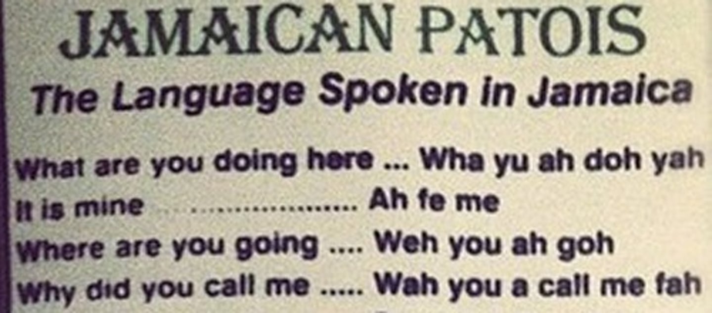 <p>A form of speech that adopts a simplified grammar and limited vocabulary of a lingua franca; used for communications among speakers of two different languages.</p>