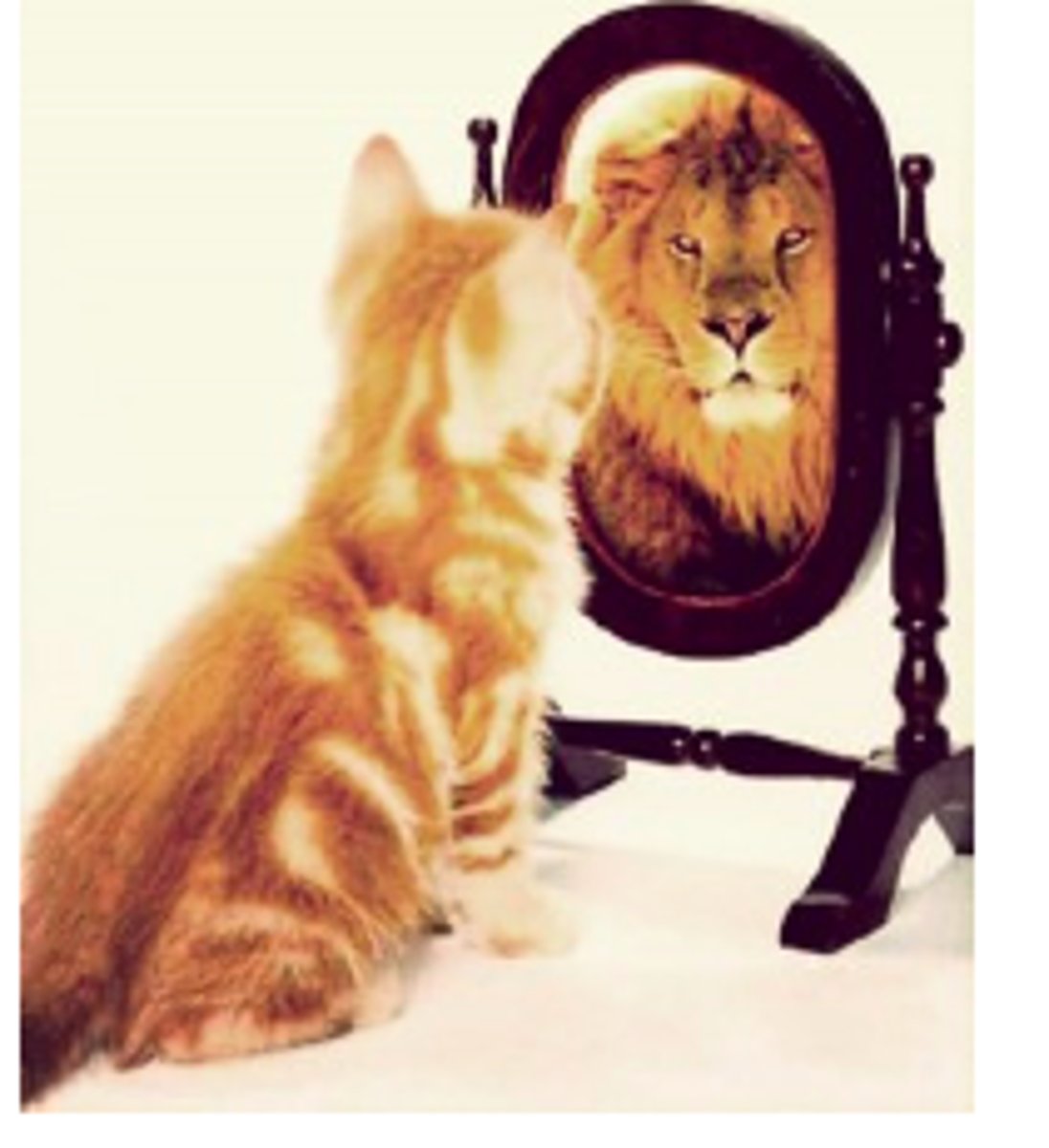 <p>confidence in oneself</p>