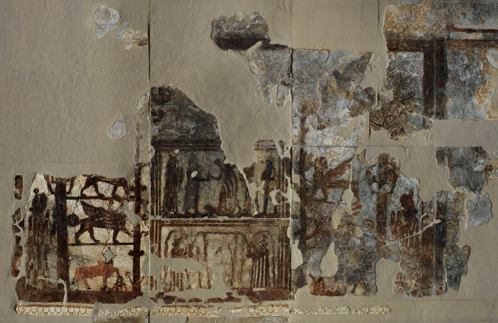 term image