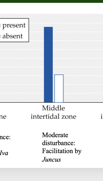 <p>Figure <strong>19.18&nbsp; Positive Interactions: Key to Diversity in Salt Marsh Communities?</strong></p><ul><li><p><span>Moderate Intertidal Zone</span></p></li></ul><p></p>