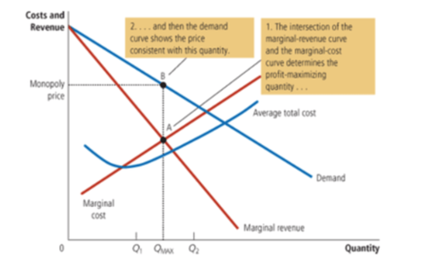 <p>If they are price setters it is a monopoly. The monopolist's profit-maximizing quantity of output is determined by the intersection of the marginal revenue curve and the marginal-cost curve.</p>