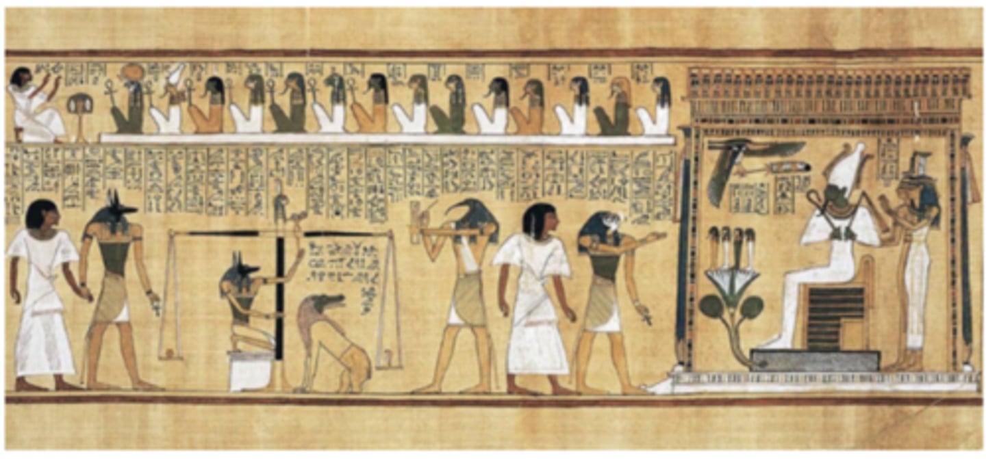 knowt flashcard image