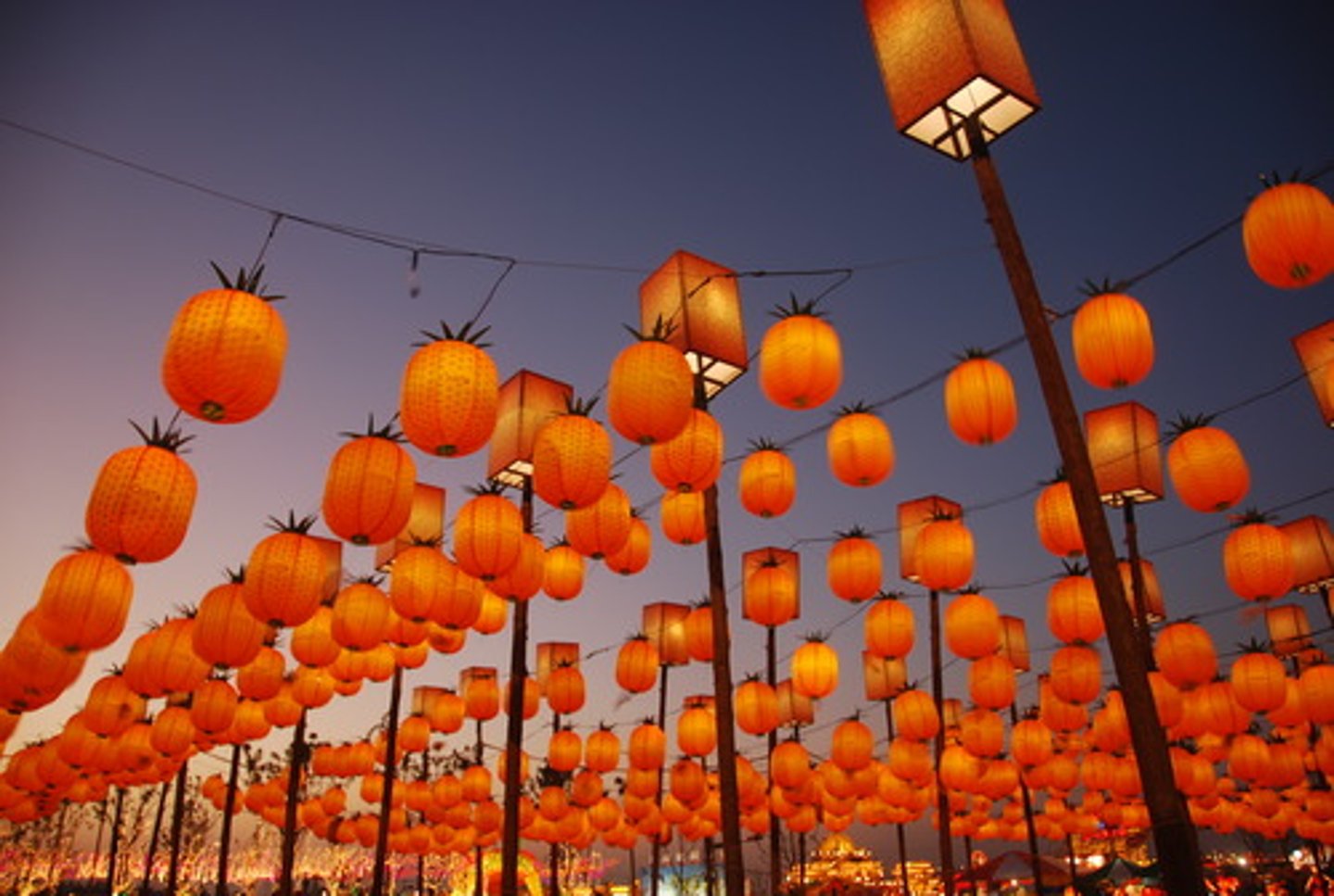 <p>(n): đèn lồng</p>