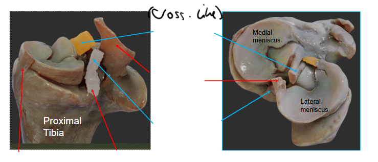 <p>Label this diagram</p>