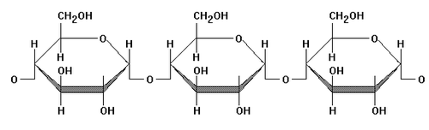<p>Polysaccharide made up of a chain of glucose (monosaccharide) molecules.</p><p>A complex carbohydrate in which plants store energy</p>