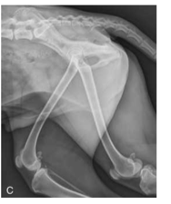 <p>Advantage of CR and DR in regards to exposure </p>