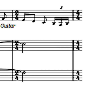 <p>Mostly <strong>4/4</strong>.</p><p>Irregular 2/4 bar.</p>