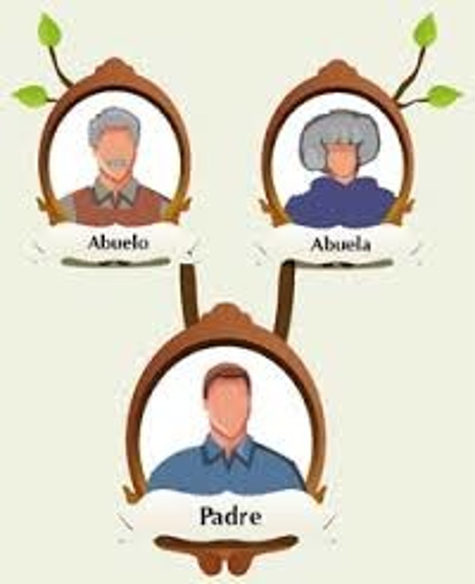 <p>ascendencia de cualquier familia</p>