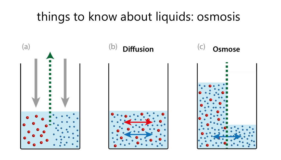<p><strong>Osmosis</strong> – Osmosis is the movement of solvent particles (usually water) across a semipermeable membrane from a dilute solution to a concentrated solution. The solvent dilutes the concentrated solution until concentration is equalized on both sides of the membrane.</p><p></p><p><strong>Diffusion</strong> – Diffusion is the movement of solvent and solute particles from an area of higher concentration to lower concentration. At equilibrium, the net effect is a homogeneous concentration throughout the medium.</p>