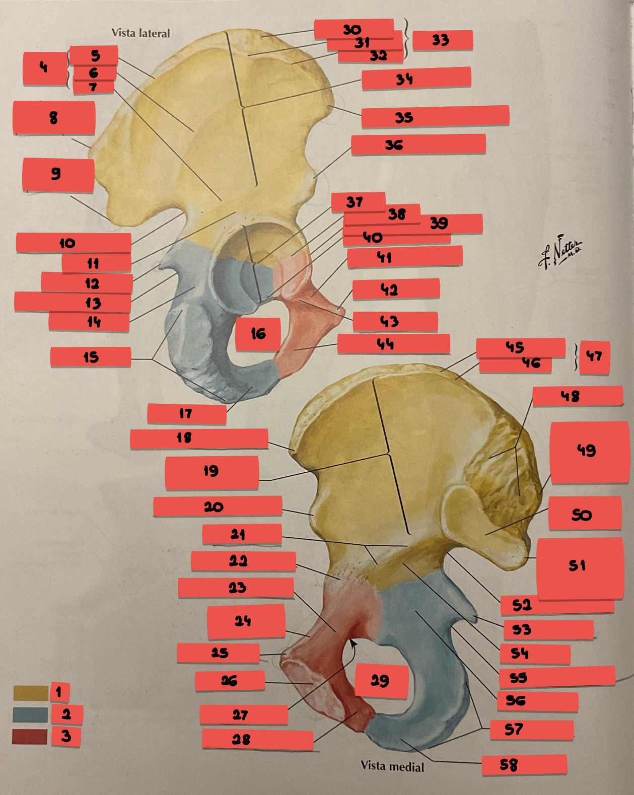 knowt flashcard image