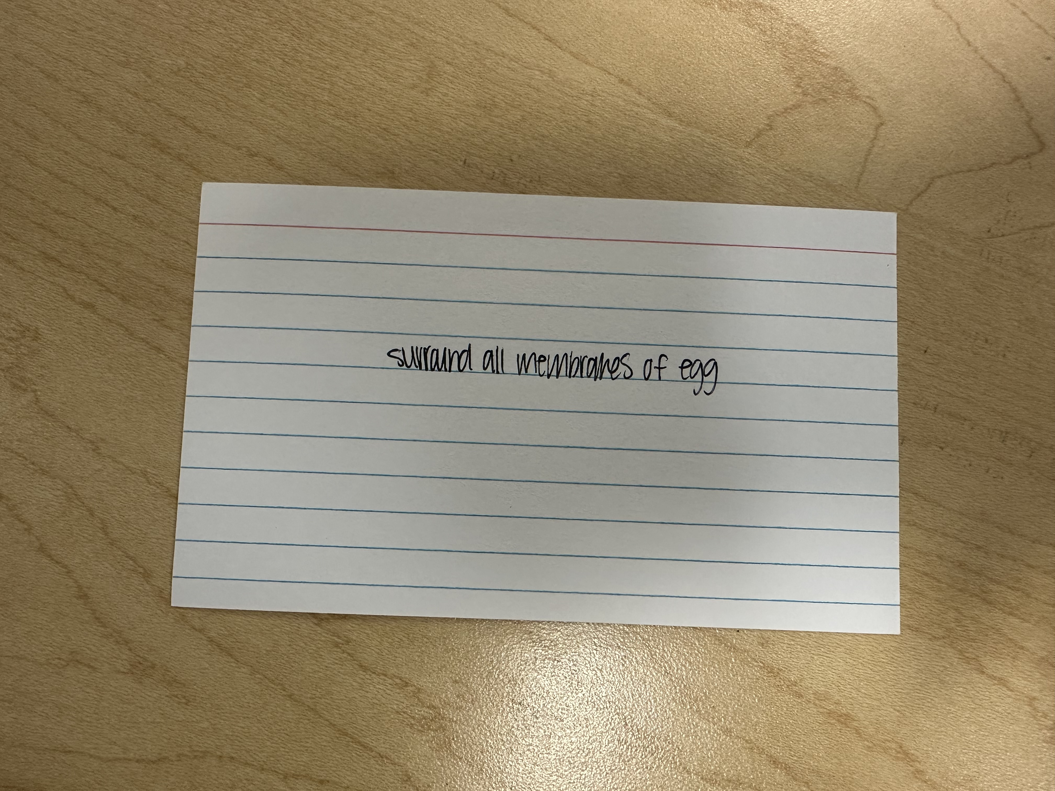 knowt flashcard image