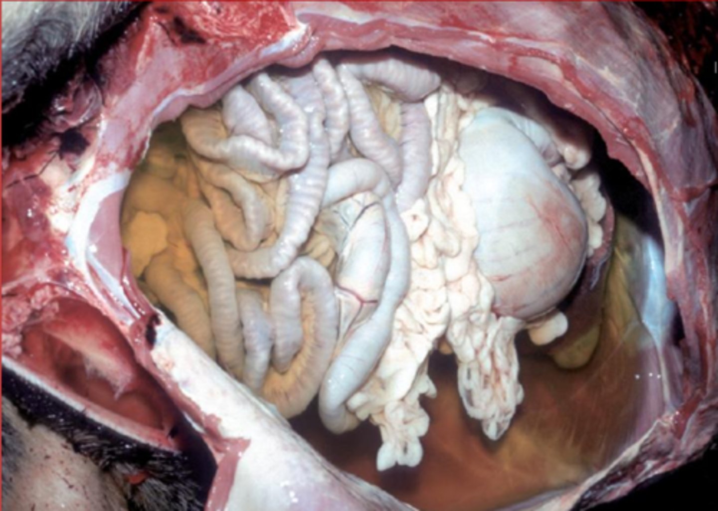 <p>what is this called?</p>