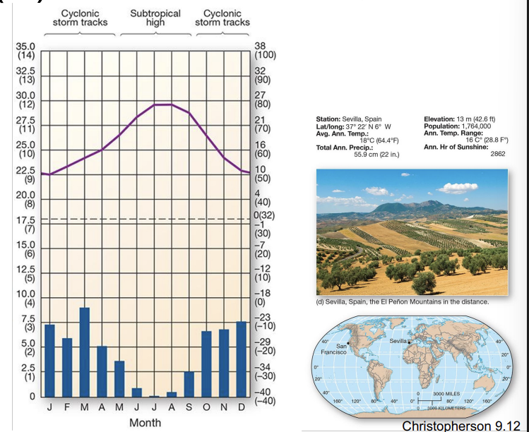 <p>what is an example of a <strong>Cs </strong>climate?</p>