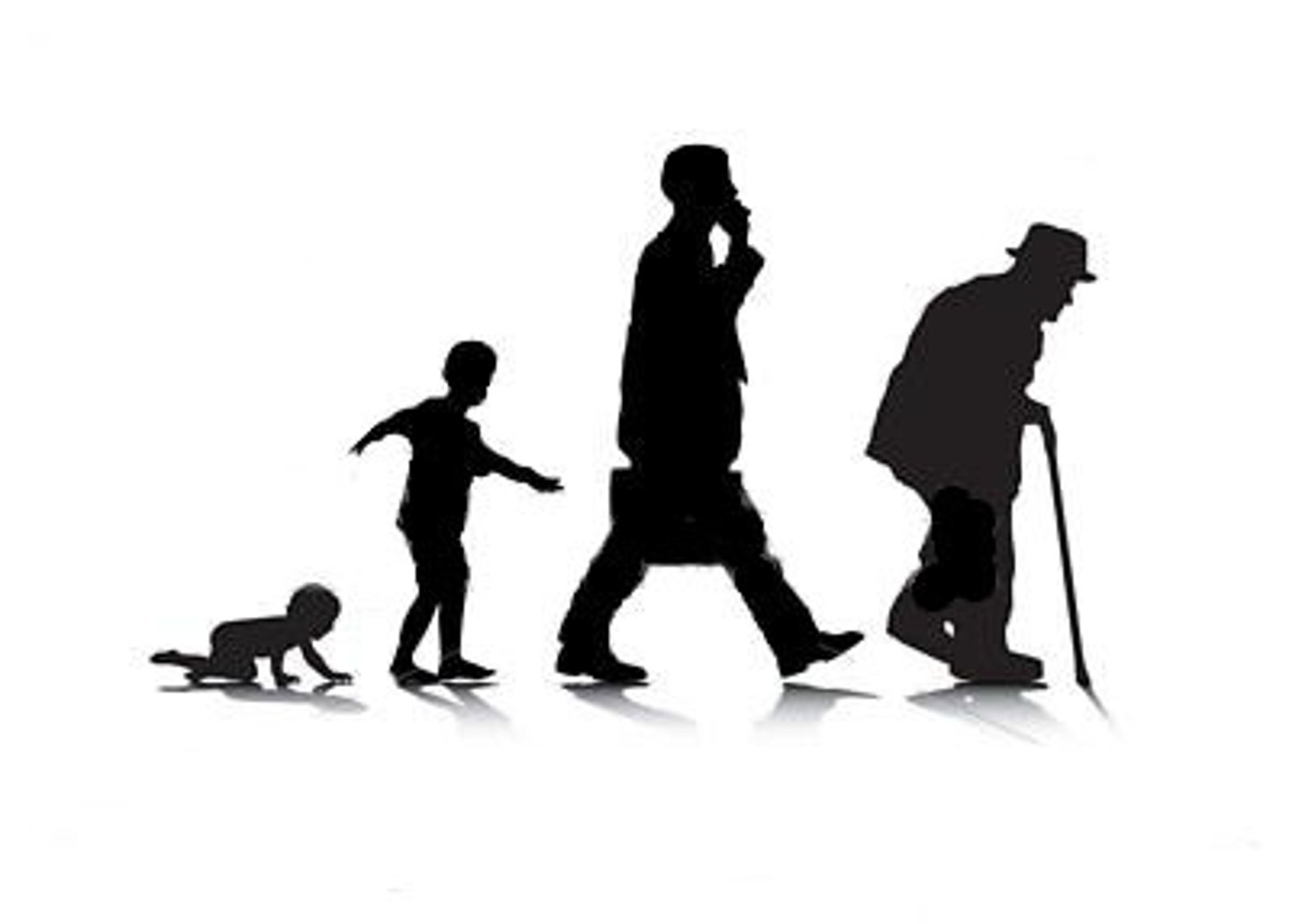 <p>the stages of life</p>