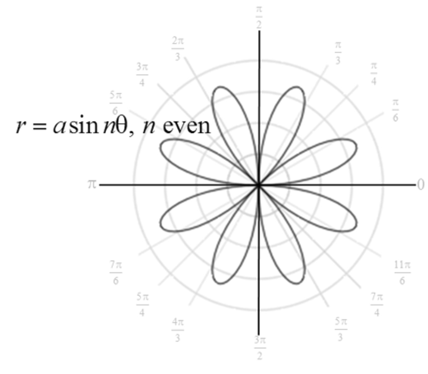 <p>Rose, 2n petals,</p>