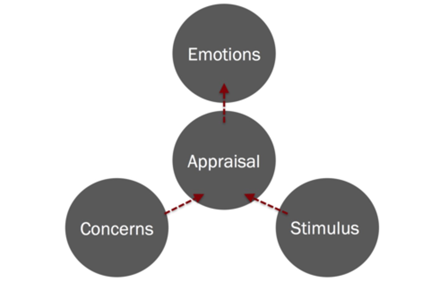 <p>the process of interpreting an event, which leads to an emotional response (i.e., emotions are directly tied to how a person evaluates a situation)</p>