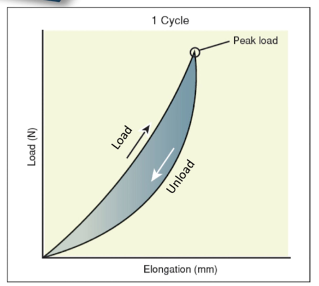 <p>Loss of energy during cyclic loading and unloading of a viscoelastic substance (ex. jumping)</p>