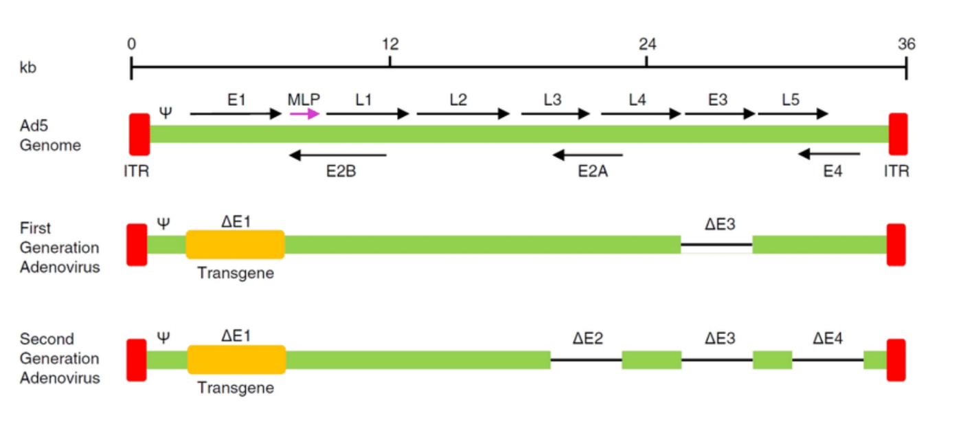 <p>What are ITR?</p>