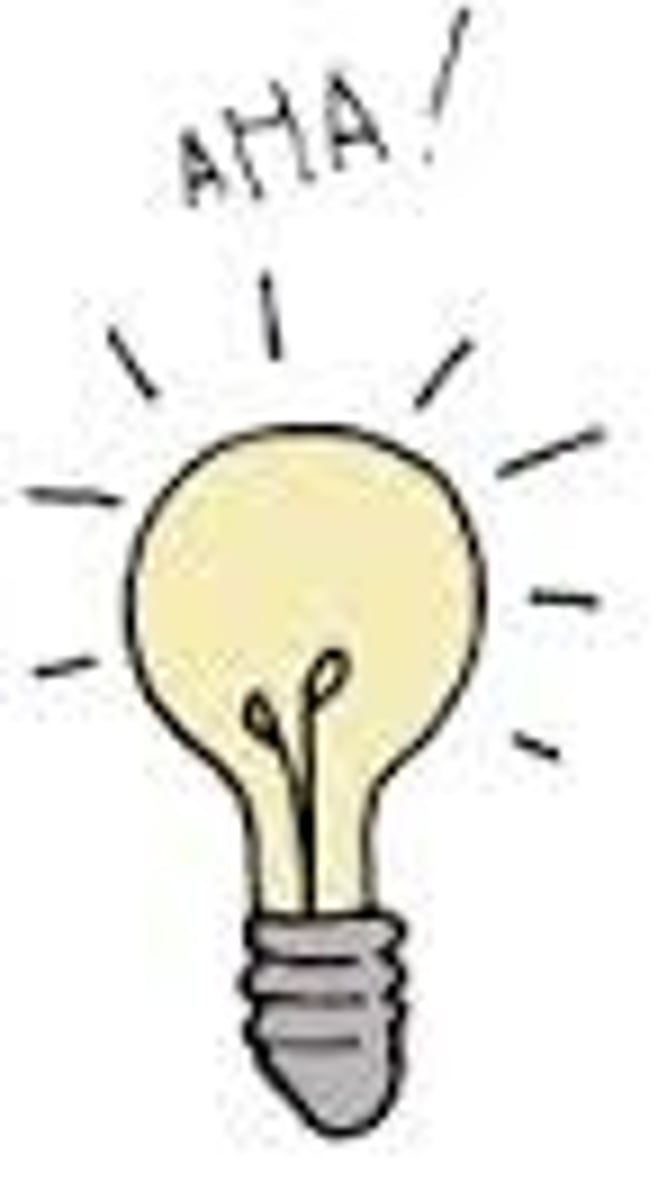 <p>a form of problem solving in which there is a sudden realization of a solution</p>