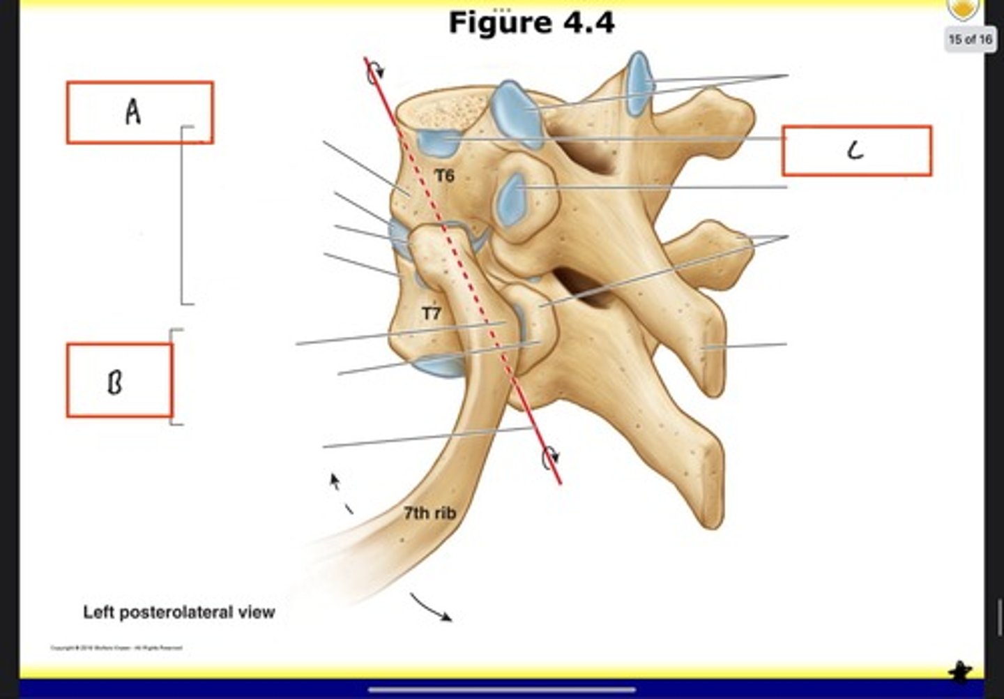 <p>What is C?</p>