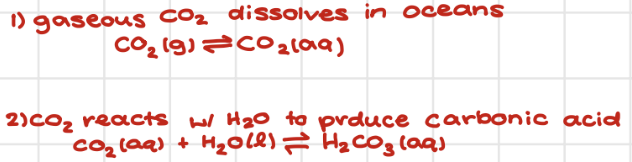 <p><span style="background-color: transparent;">ocean acidification</span></p>