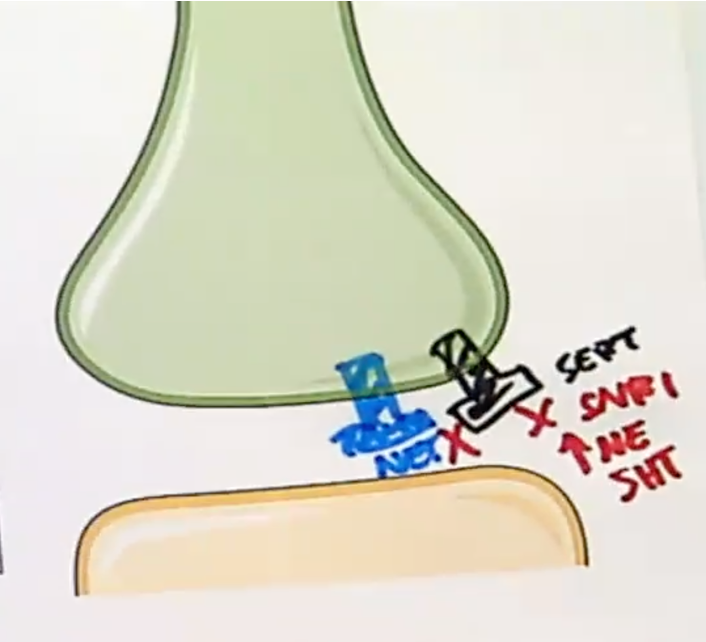 <p><span><span>Selectively inhibit presynaptic serotonin and norepinephrine transporters, increasing synaptic levels of serotonin and norepinephrine</span></span></p>