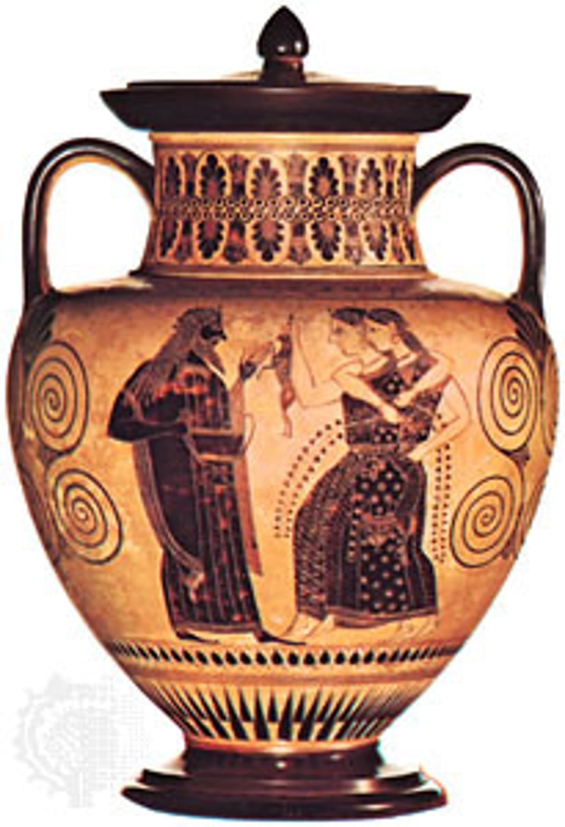 <p>530 BCE</p><p>Neck Amphora</p><p>Amasis Painter</p>