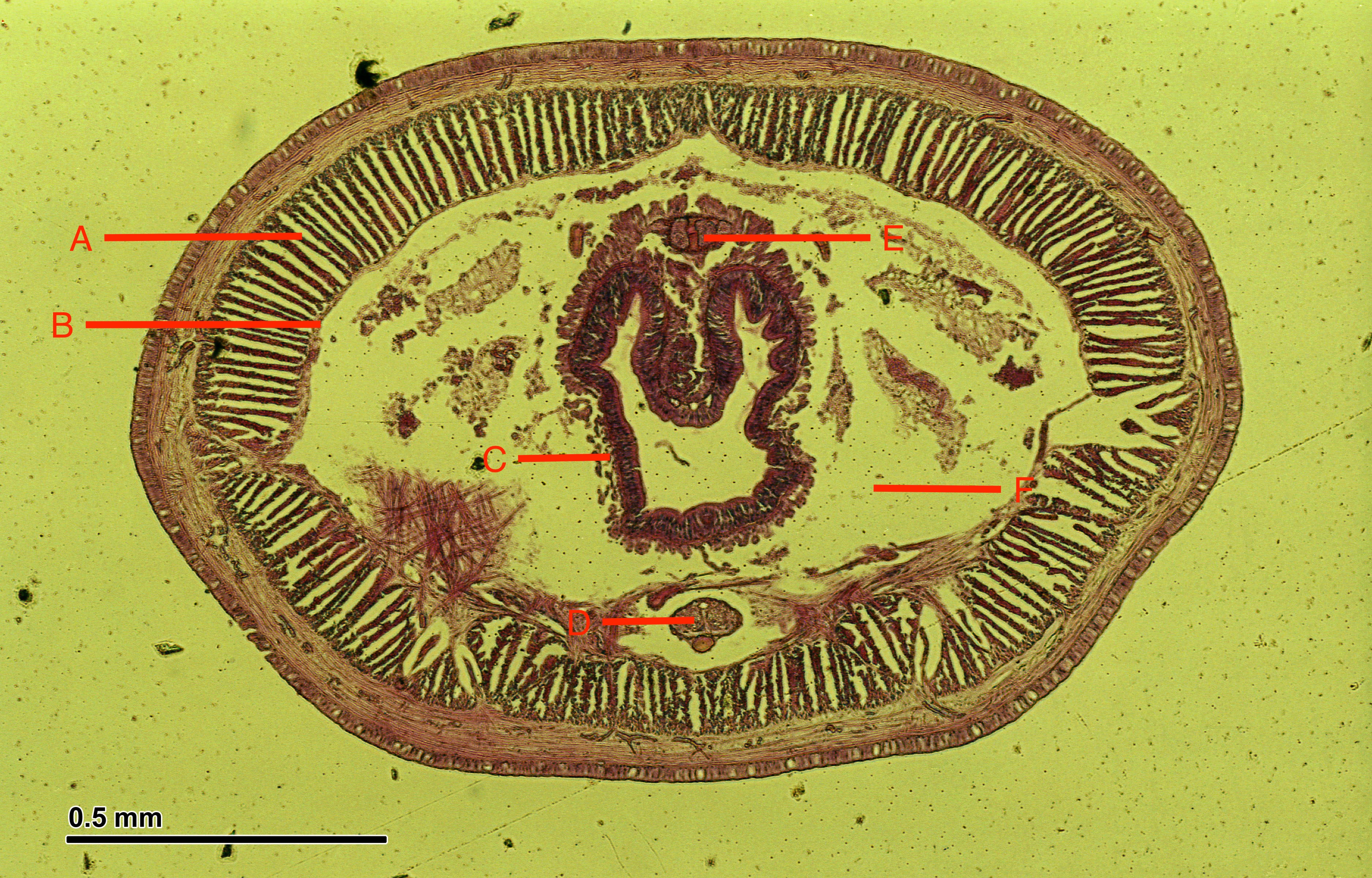 <p>Identify all the structures in the photo</p>